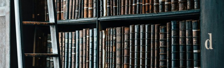 About Tidewater Defenders